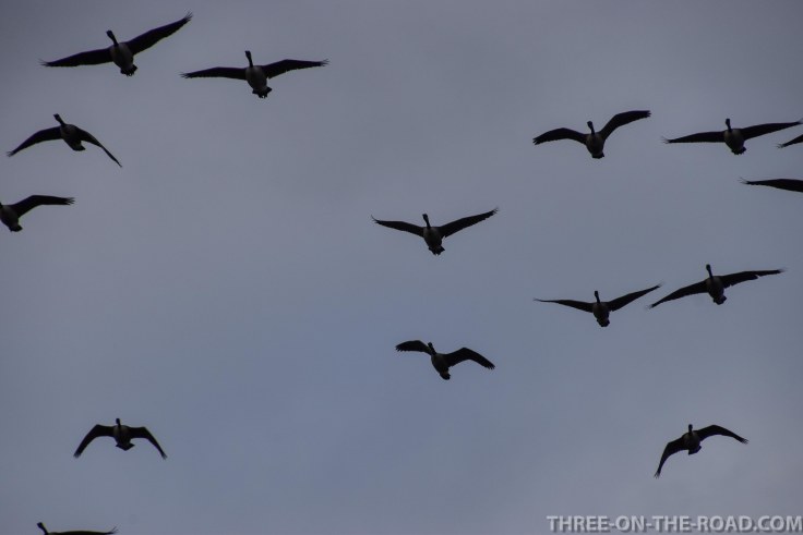 Charleston, Boone Hill Plantation