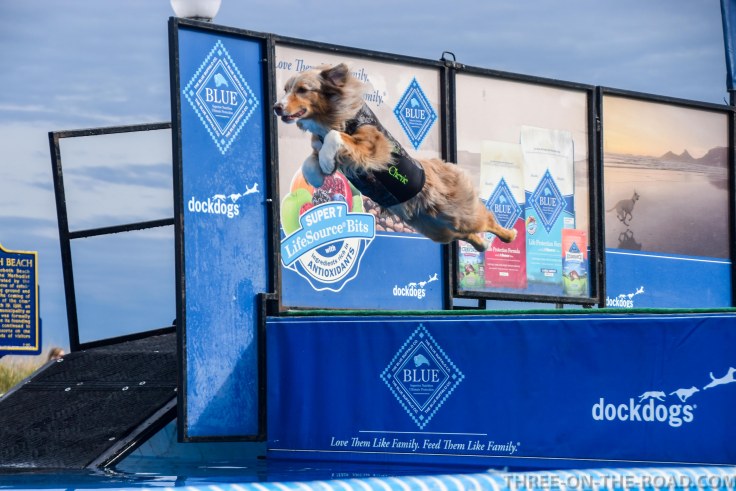 Dog Jump, Rehoboth, DE
