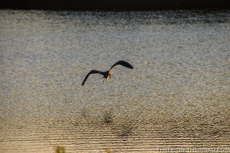 Huntington Beach, SC