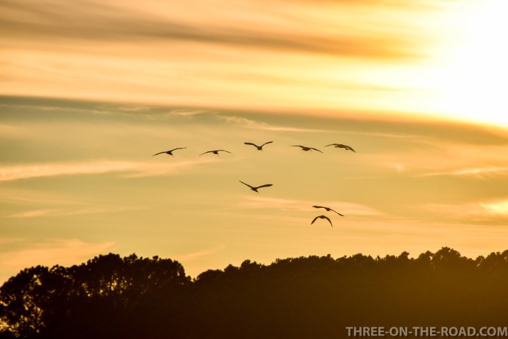 Huntington Beach, SC