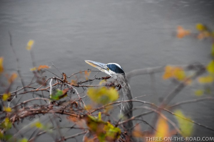 Huntington Beach, SC