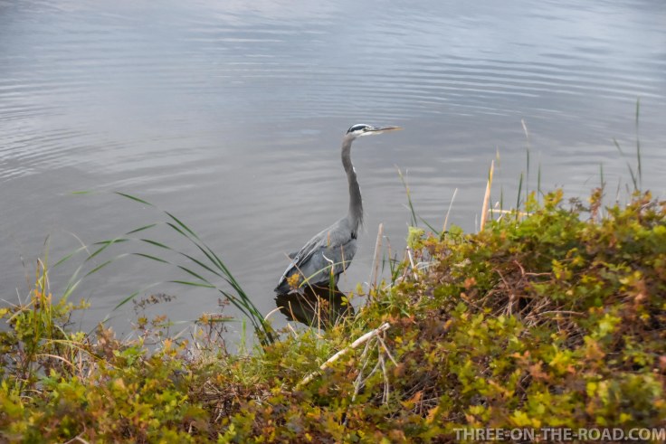 Huntington Beach, SC