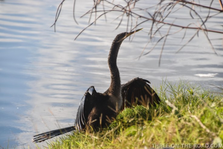 Huntington Beach, SC