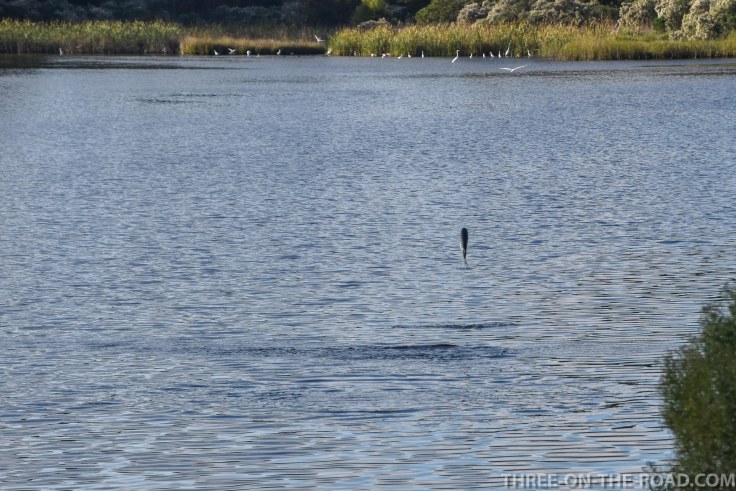 Huntington Beach, SC