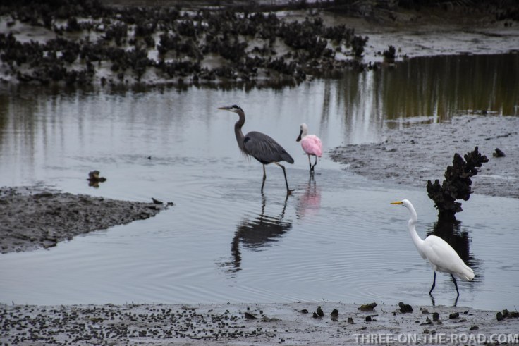 Huntington Beach, SC