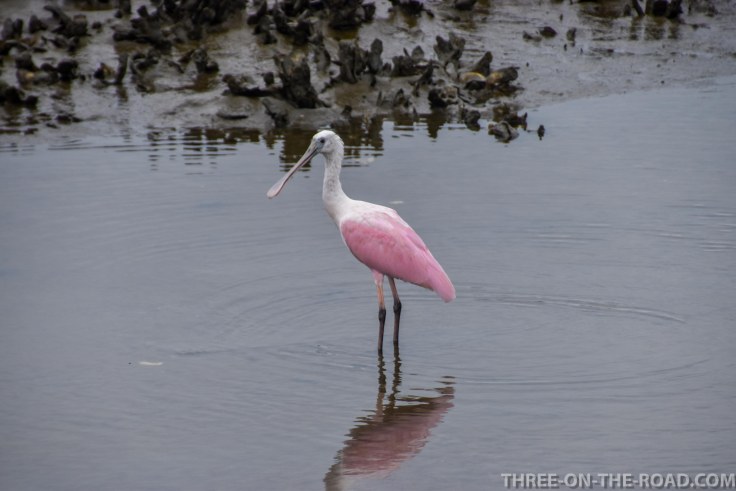 Huntington Beach, SC