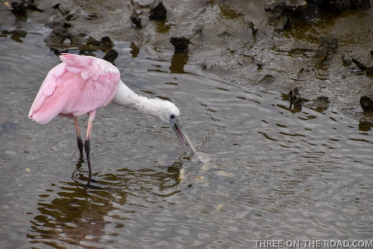 Huntington Beach, SC