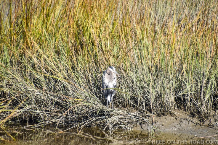 Huntington Beach, SC