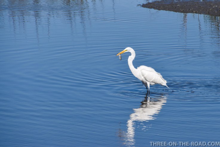 Huntington Beach, SC