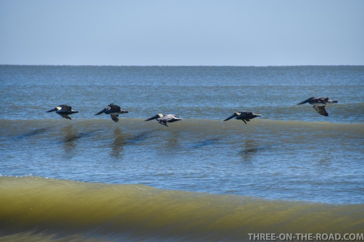 Huntington Beach, SC