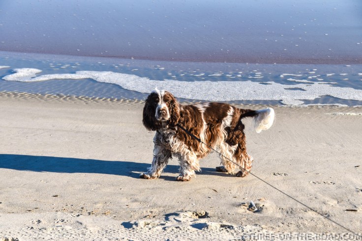 Huntington Beach, SC