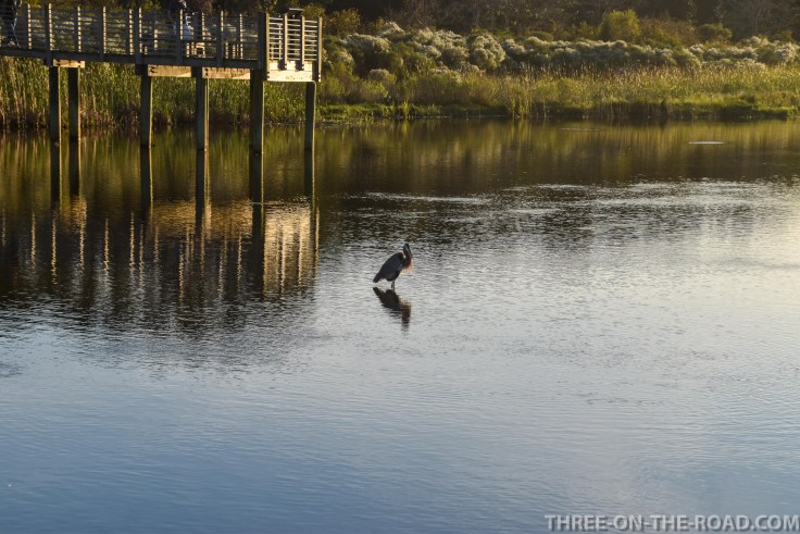 Huntington Beach, SC