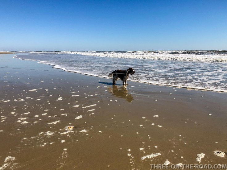 Cape Hatteras, Outer Banks, NC