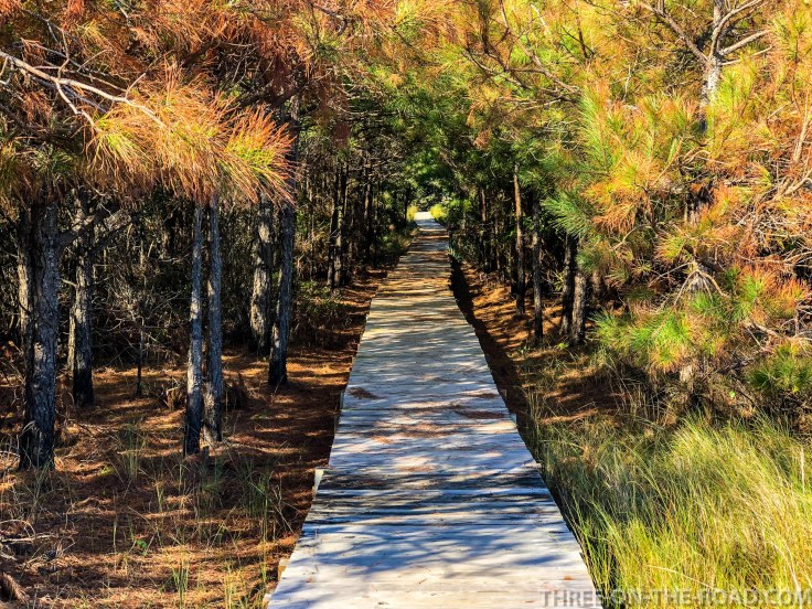 Cape Hatteras, Outer Banks, NC