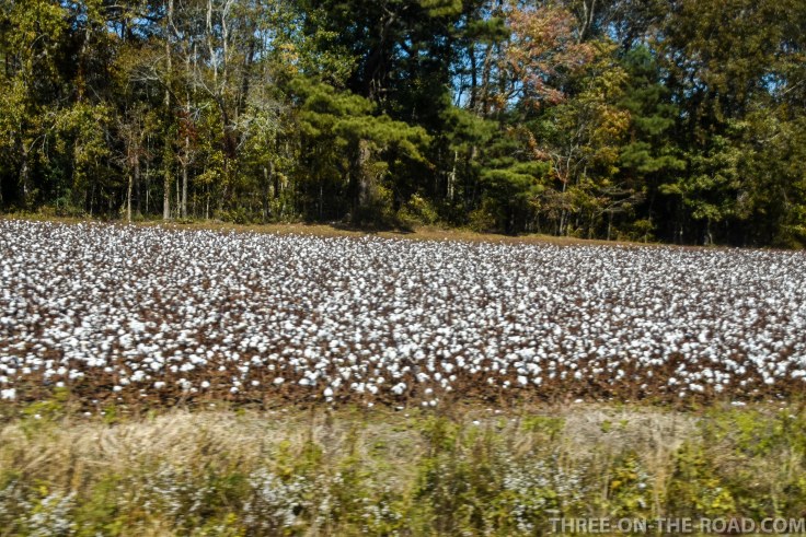 Fahrt OBX to Raleigh, NC