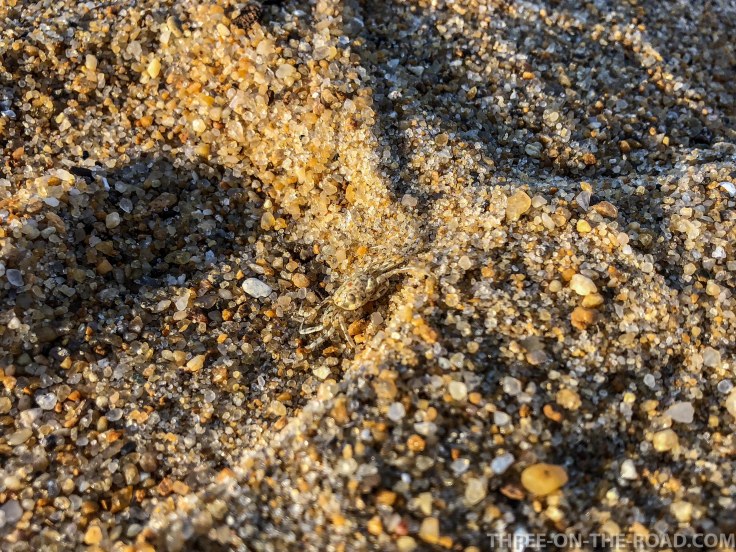 Virginia, First Landing State Park