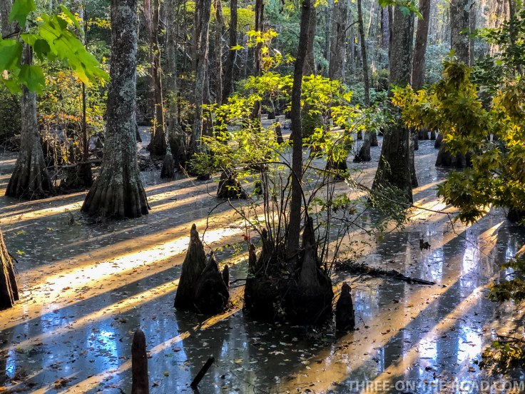First Landing S.P., VA