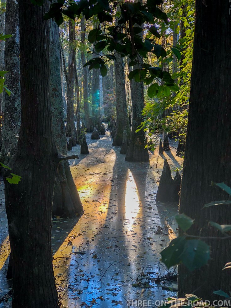 First Landing S.P., VA