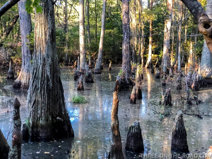 First Landing S.P., VA