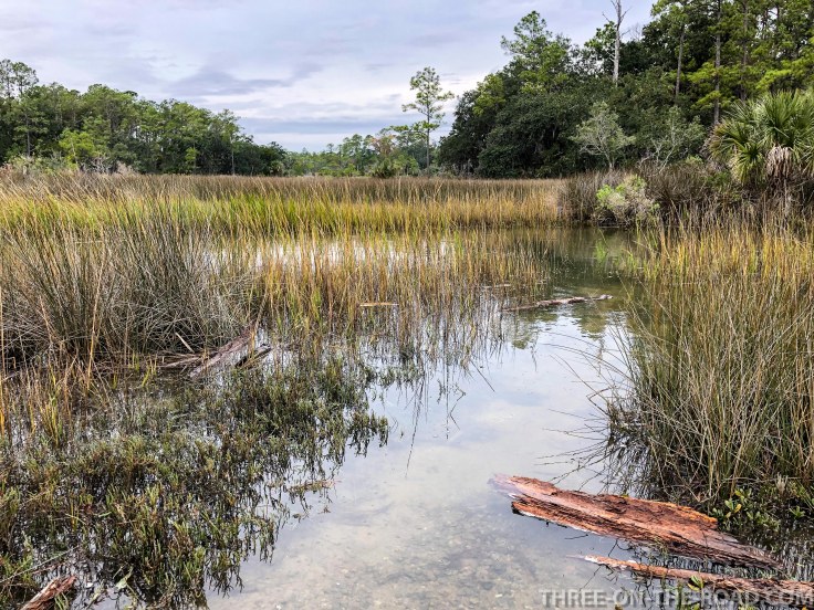 Savannah, Skidaway State Park