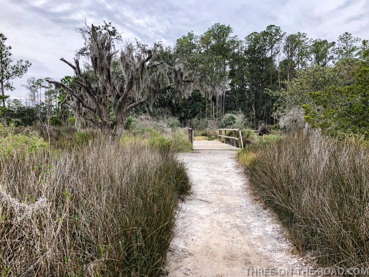Savannah, Skidaway State Park