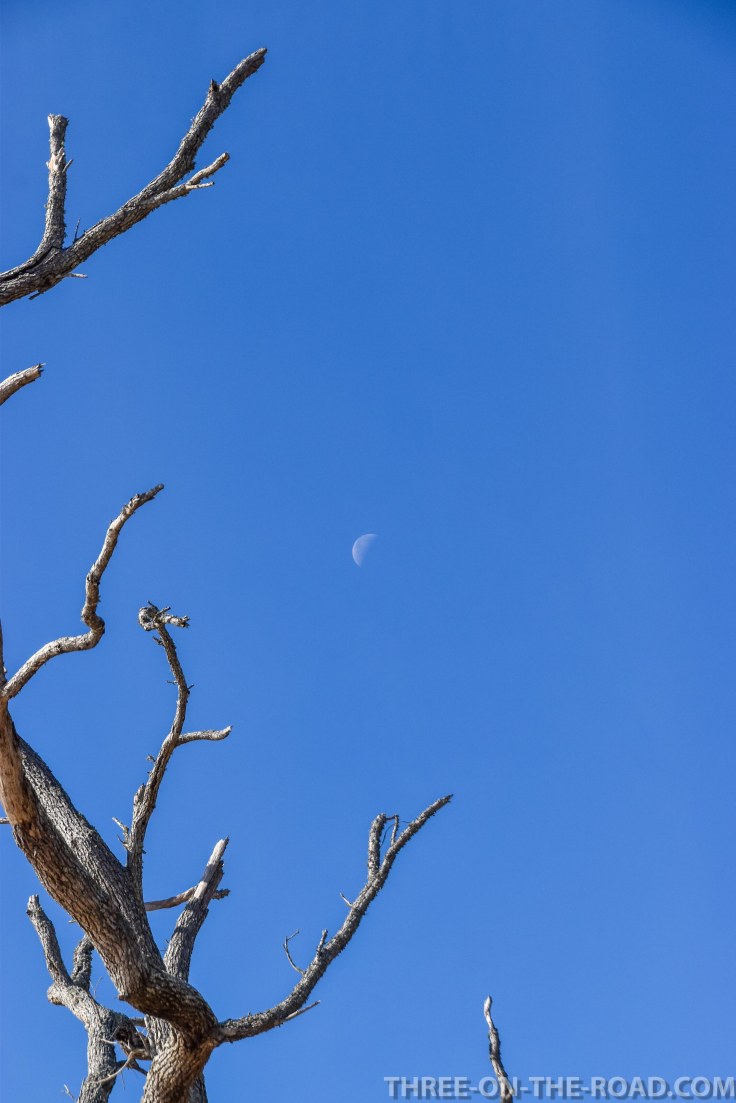 Botany Bay Plantation, Edisto, SC