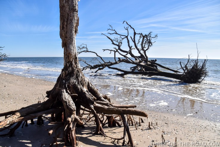 Botany Bay Plantation, Edisto, SC