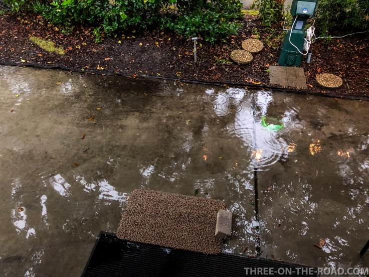 Regen in Hilton Head, SC, Dec 18