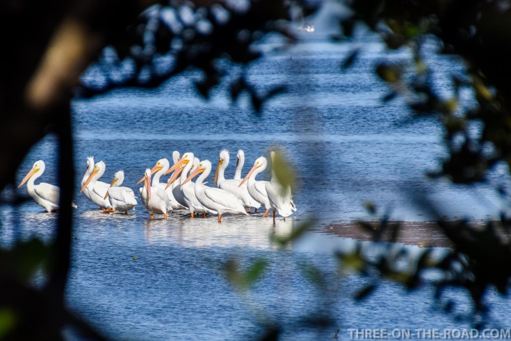 Robinson Preserve, Bradenton, FL