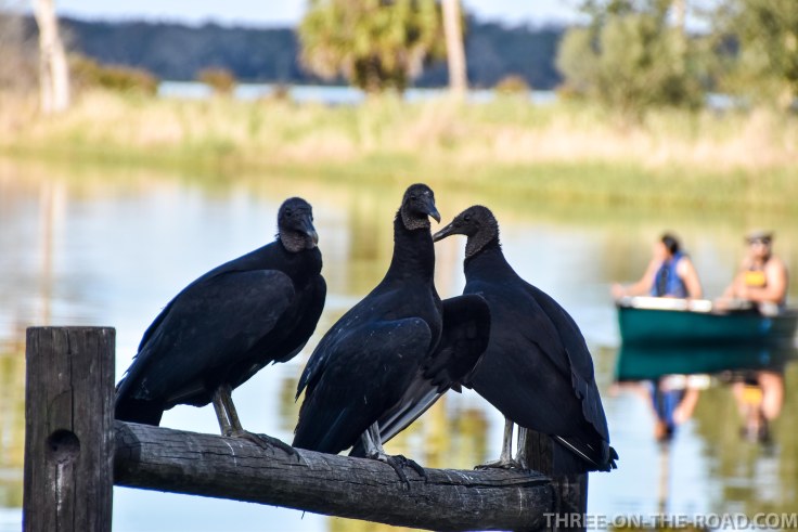 Myakka River S.P., FL