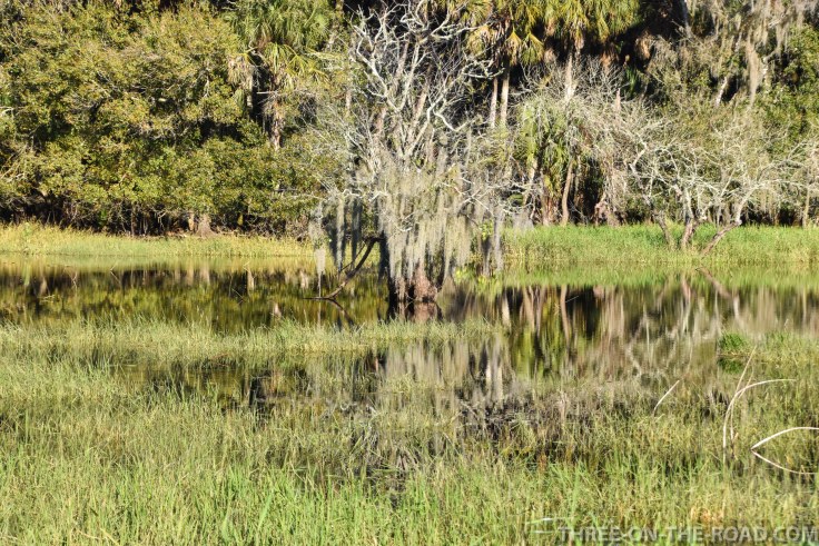 Myakka River S.P., FL