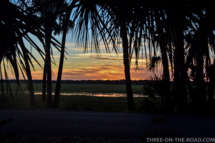 Myakka River S.P., FL