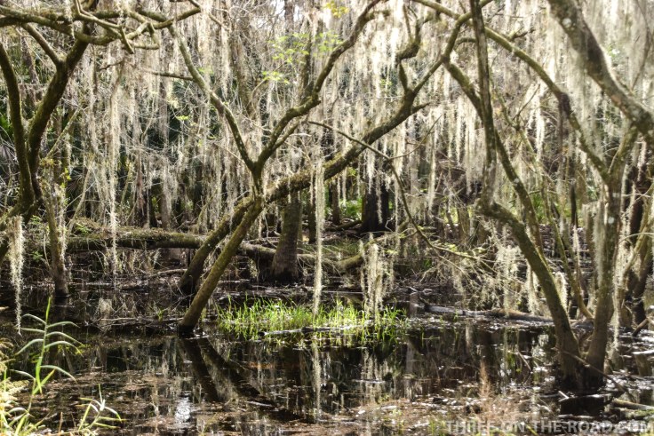 Myakka River S.P., FL