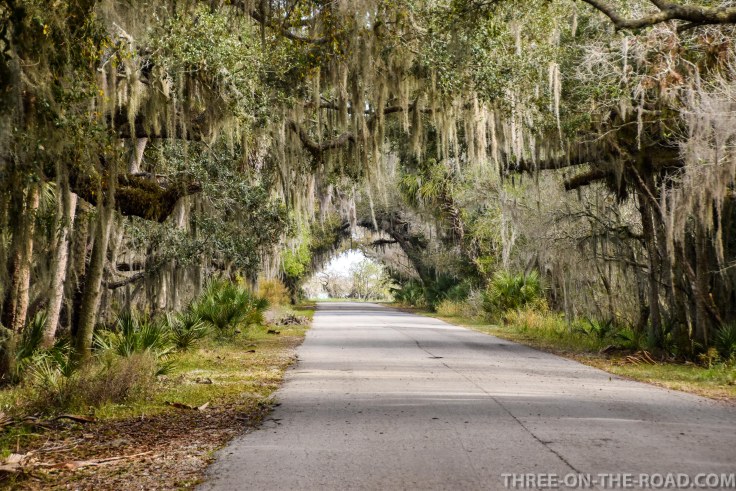 Myakka River S.P., FL