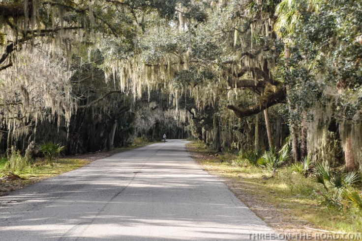 Myakka River S.P., FL