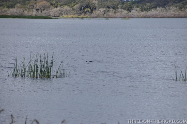 Myakka River S.P., FL