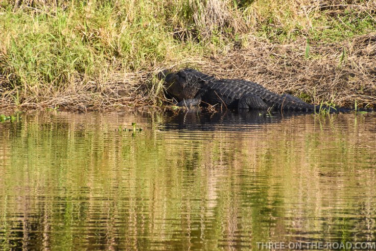 Myakka River S.P., FL