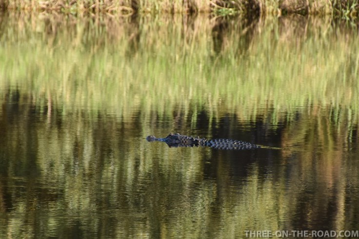 Myakka River S.P., FL