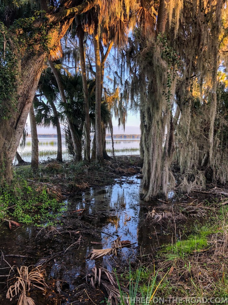 Myakka River S.P., FL