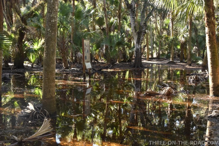 überfluteter Weg in Myakka