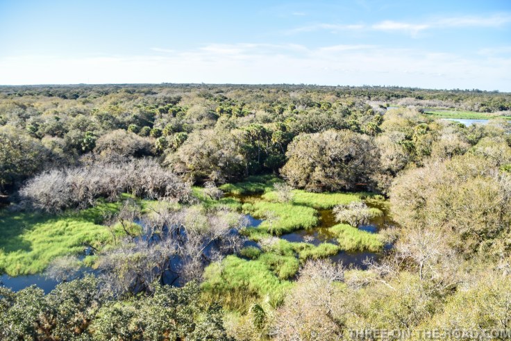 Myakka River S.P., FL