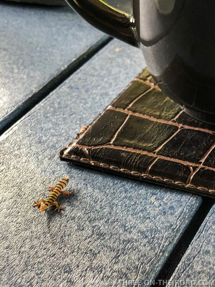 Key West, Bluewater Key RV Resort