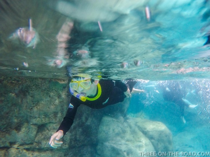 Noah Visit_DiscoveryCove