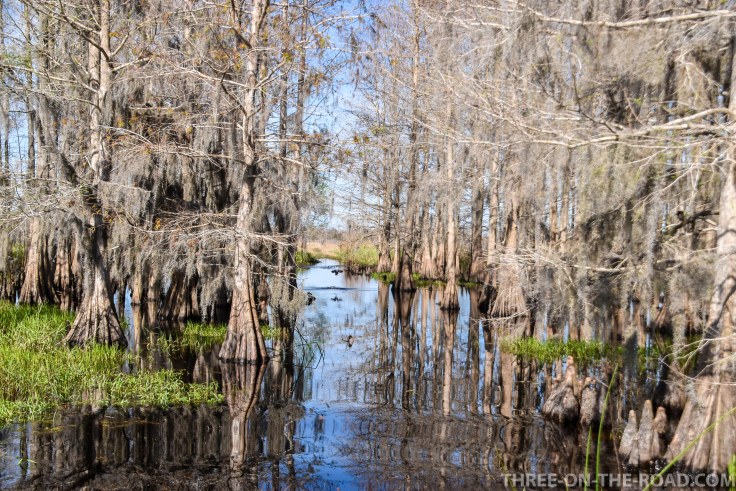 Noah Visit_Kissimmee S.P.