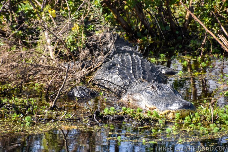 Noah Visit_Kissimmee S.P.