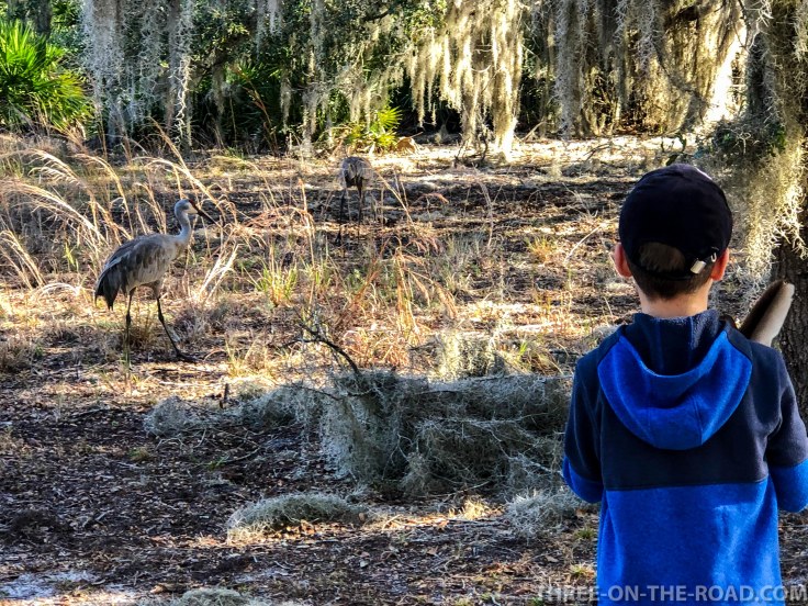 Noah Visit_Kissimmee S.P.