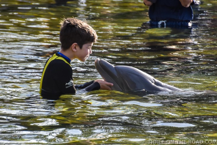 Noah Visit_DiscoveryCove