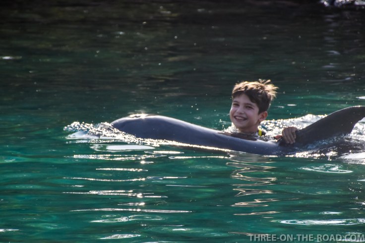 Noah Visit_DiscoveryCove