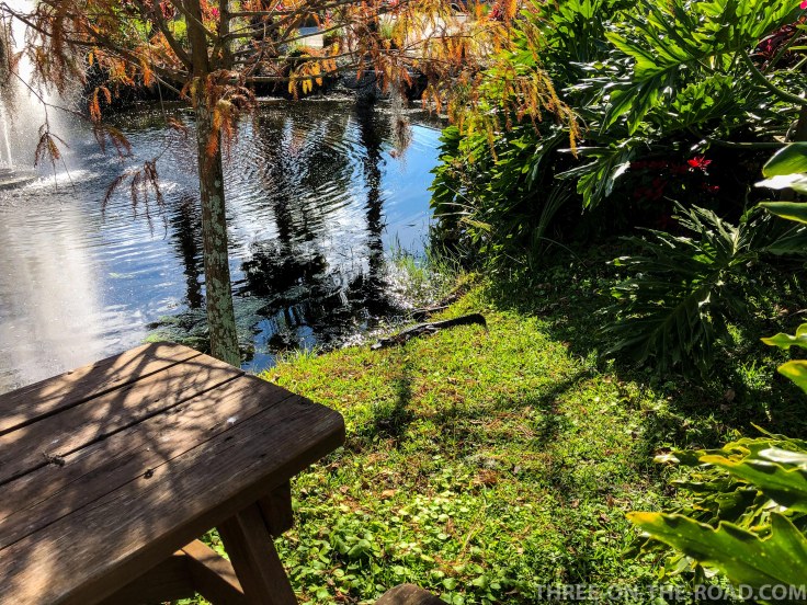 Orlando KOA Whipperpool