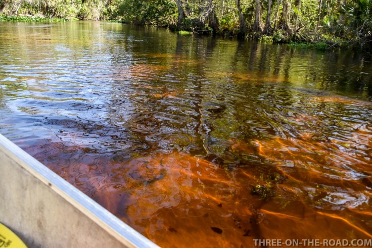Wekiwa State Park, Orlando, FL